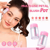 PINKFLASH Smooth Velvet Blush