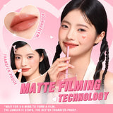 PINKFLASH Long Lasting Classy Matte Lipstick